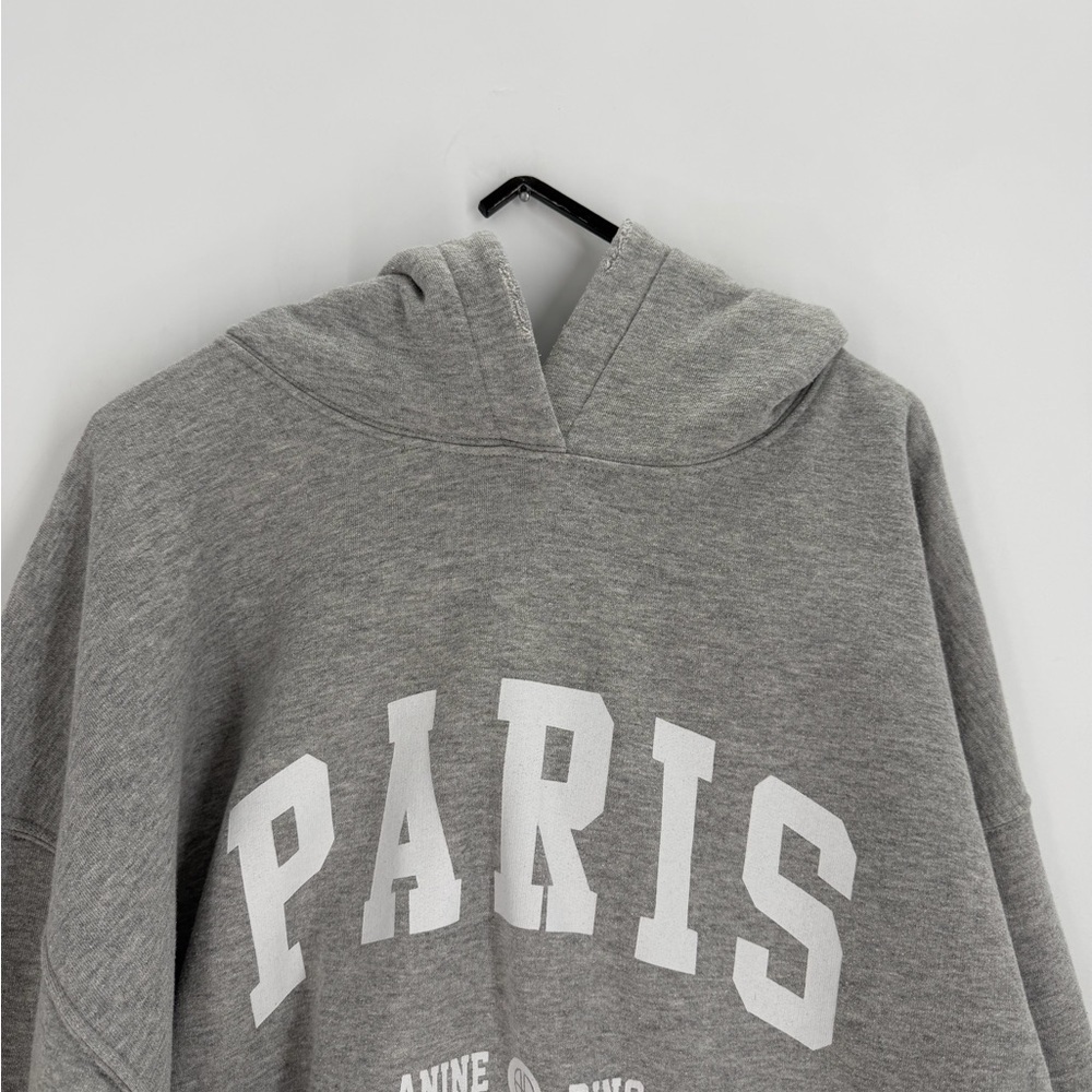 Anine Bing Aiden University Paris Distressed Hoodie In Heather Grey